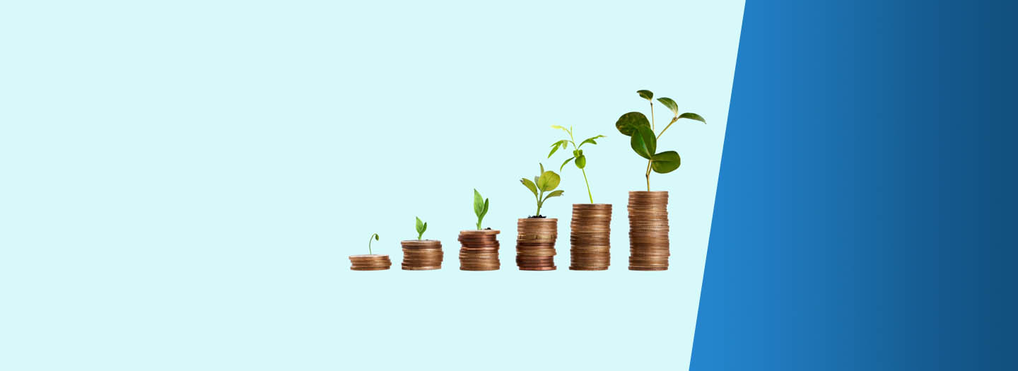 Pennies stacked in increasing piles with a plant growing from the top of each stack